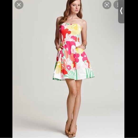 Lilly Pulitzer Dresses & Skirts - Lilly Pulitzer Blossom Dress 8